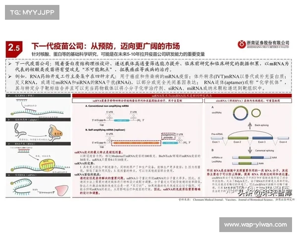智利足球失利世界杯原因分析及足球排球对比探讨 智利足球失利世界杯原因分析及足球排球对比探讨